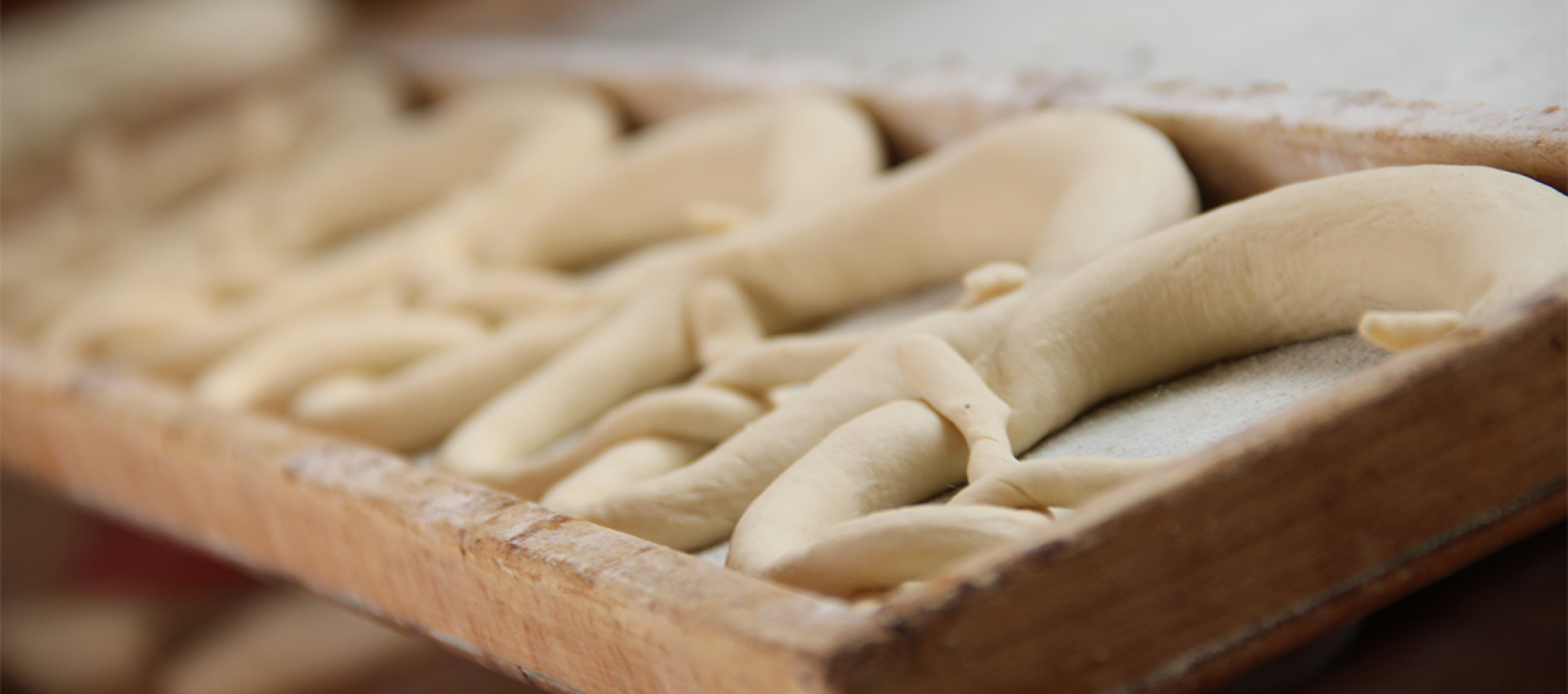 B&auml;ckerei Schaub sucht Auszubildenden zum B&auml;cker (m/w/d)
